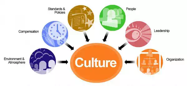 Organizational Culture