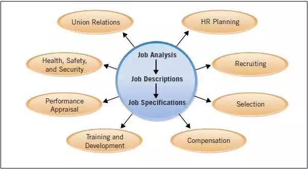 Job Analysis