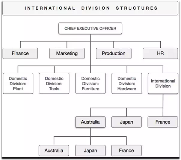 International Division Structure