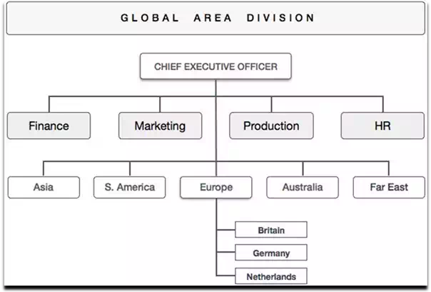 Global Area Division