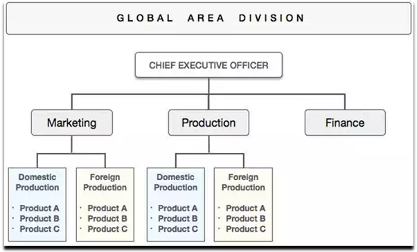 Global Functional Division