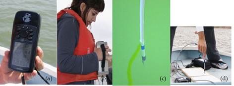 media/image6_w.jpg