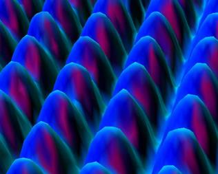 http://departments.kings.edu/chemlab/animation/Stm12.jpg