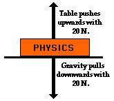 http://www.physicsclassroom.com/Class/newtlaws/u2l2a4.gif