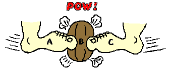 http://www.physicsclassroom.com/Class/newtlaws/u2l4a4.gif