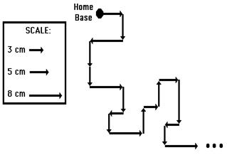 http://www.physicsclassroom.com/Class/vectors/u3l1b9.gif