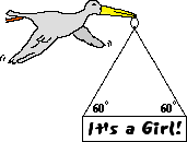http://www.physicsclassroom.com/Class/vectors/u3l3c16.gif