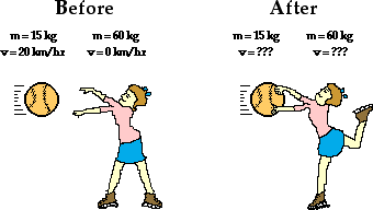 http://www.physicsclassroom.com/Class/momentum/u4l2d3.gif