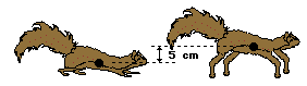 http://www.physicsclassroom.com/Class/energy/u5l1a12.gif
