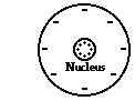 http://www.physicsclassroom.com/Class/estatics/u8l1b3.gif