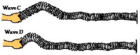 http://www.physicsclassroom.com/Class/waves/u10l2d4.gif