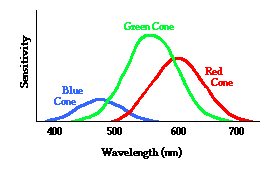 http://www.physicsclassroom.com/Class/light/u12l2b2.gif