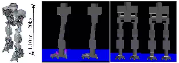 media/fig6.webp