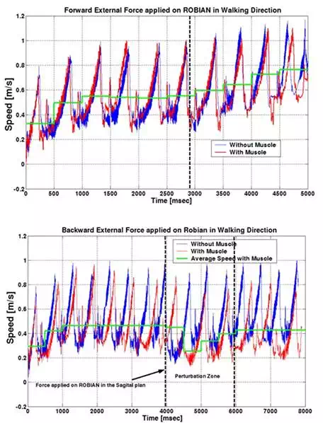 media/fig13.webp
