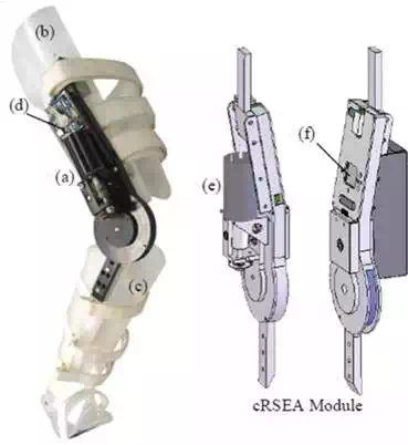 media/fig7.webp